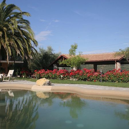 Agriturismo Ada Musso Ss Diano Borello Exteriér fotografie
