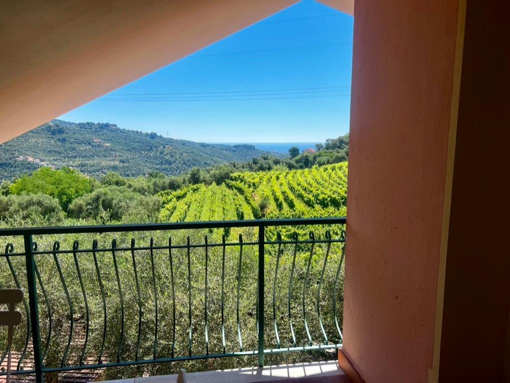 Agriturismo Ada Musso Ss Diano Borello Exteriér fotografie