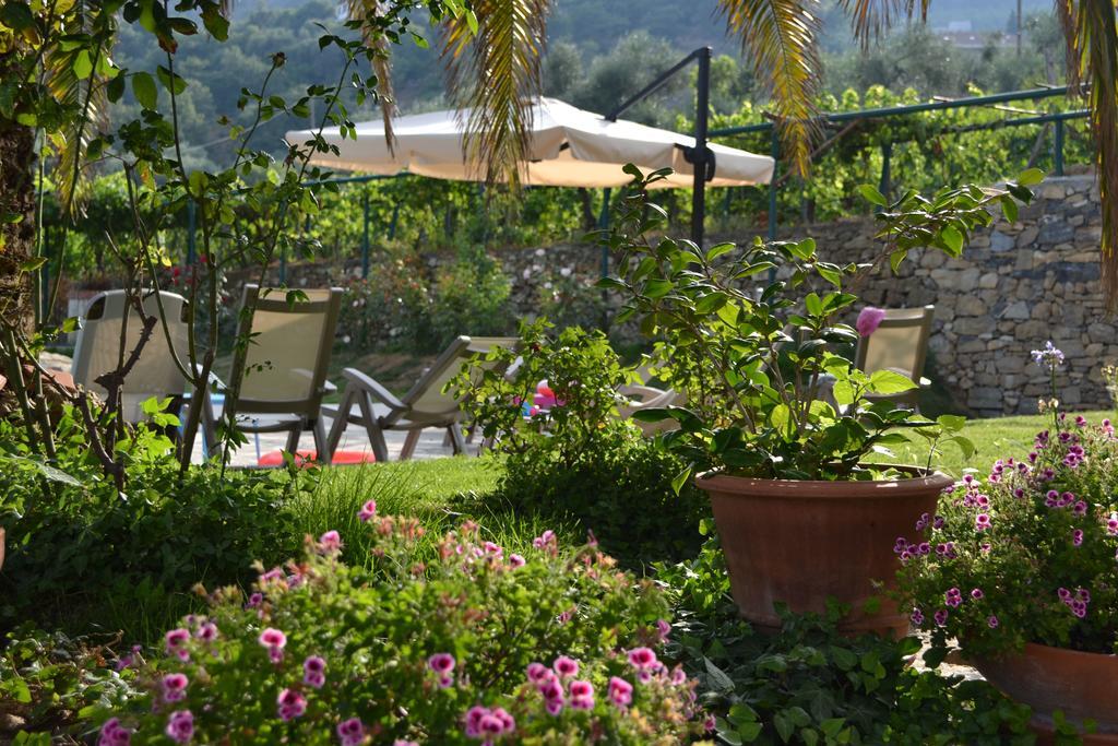 Agriturismo Ada Musso Ss Diano Borello Exteriér fotografie