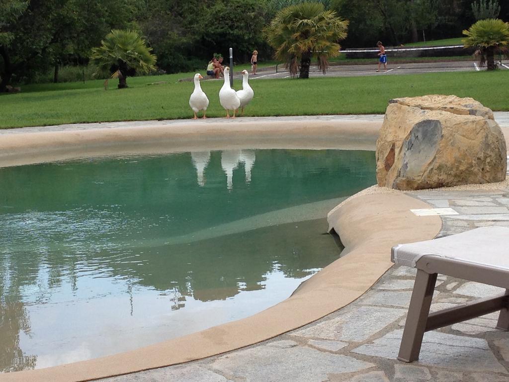 Agriturismo Ada Musso Ss Diano Borello Exteriér fotografie