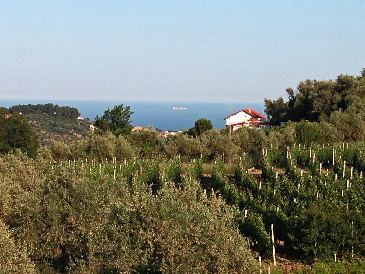 Agriturismo Ada Musso Ss Diano Borello Pokoj fotografie