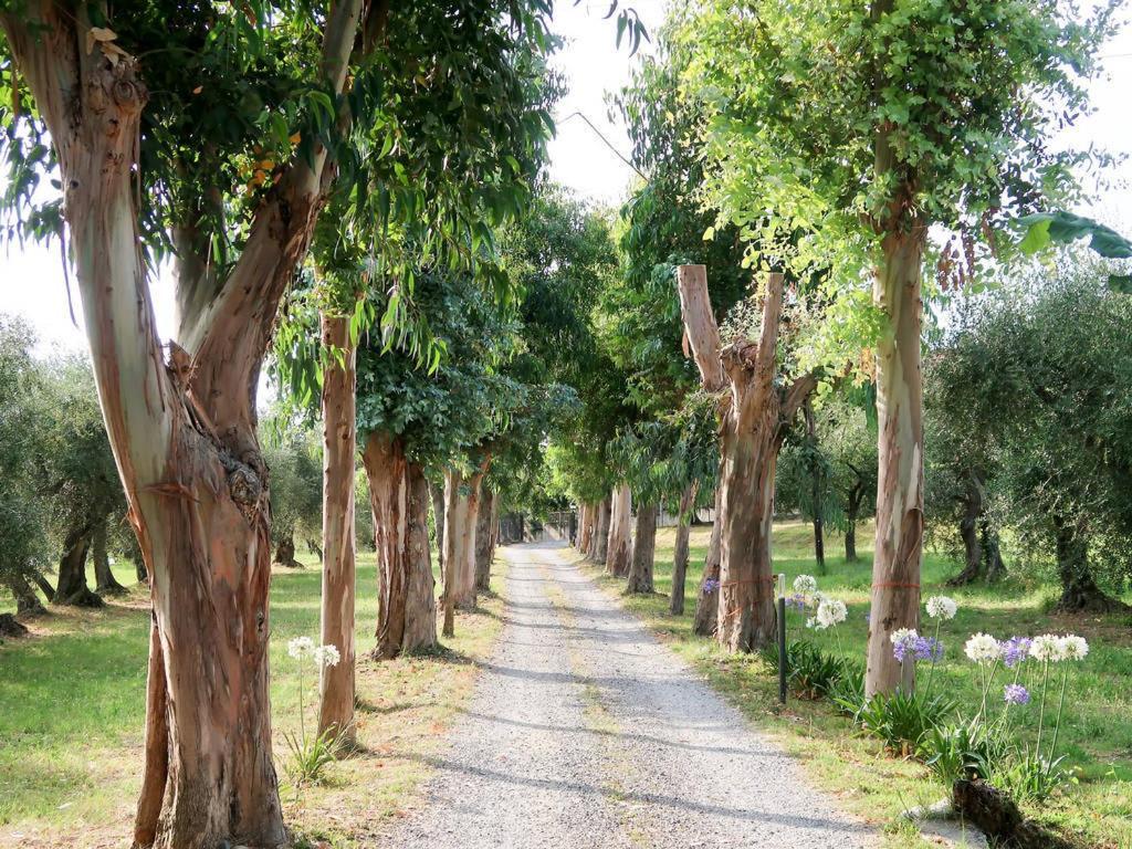 Agriturismo Ada Musso Ss Diano Borello Exteriér fotografie