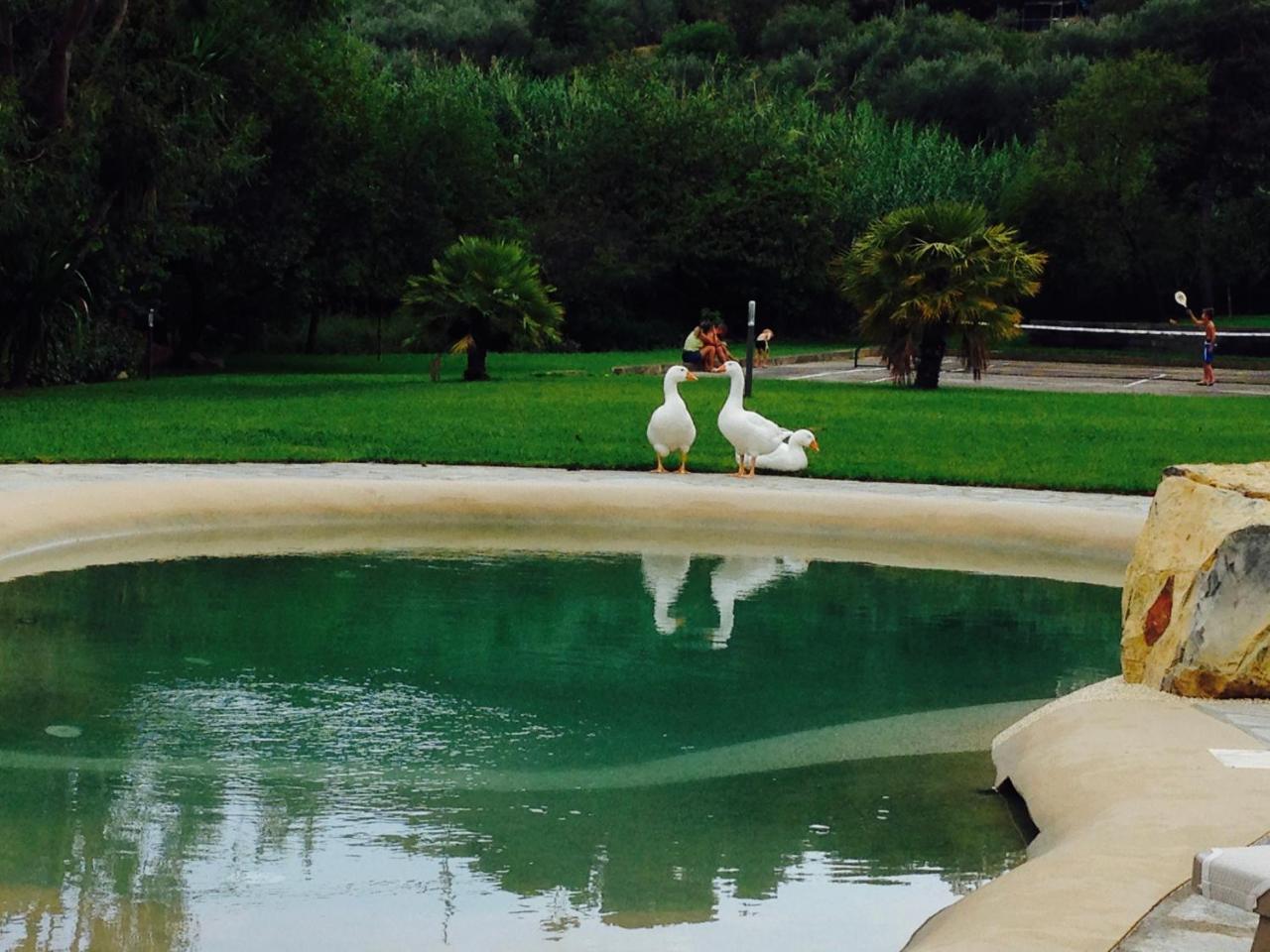 Agriturismo Ada Musso Ss Diano Borello Exteriér fotografie